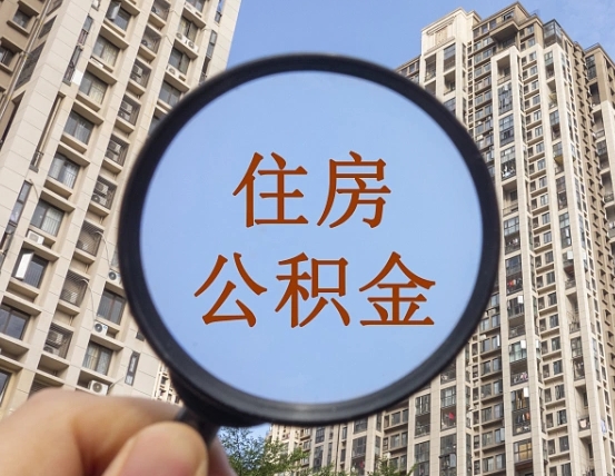 梅州退休后查不到公积金明细了吗（退休后公积金查询不到原因）